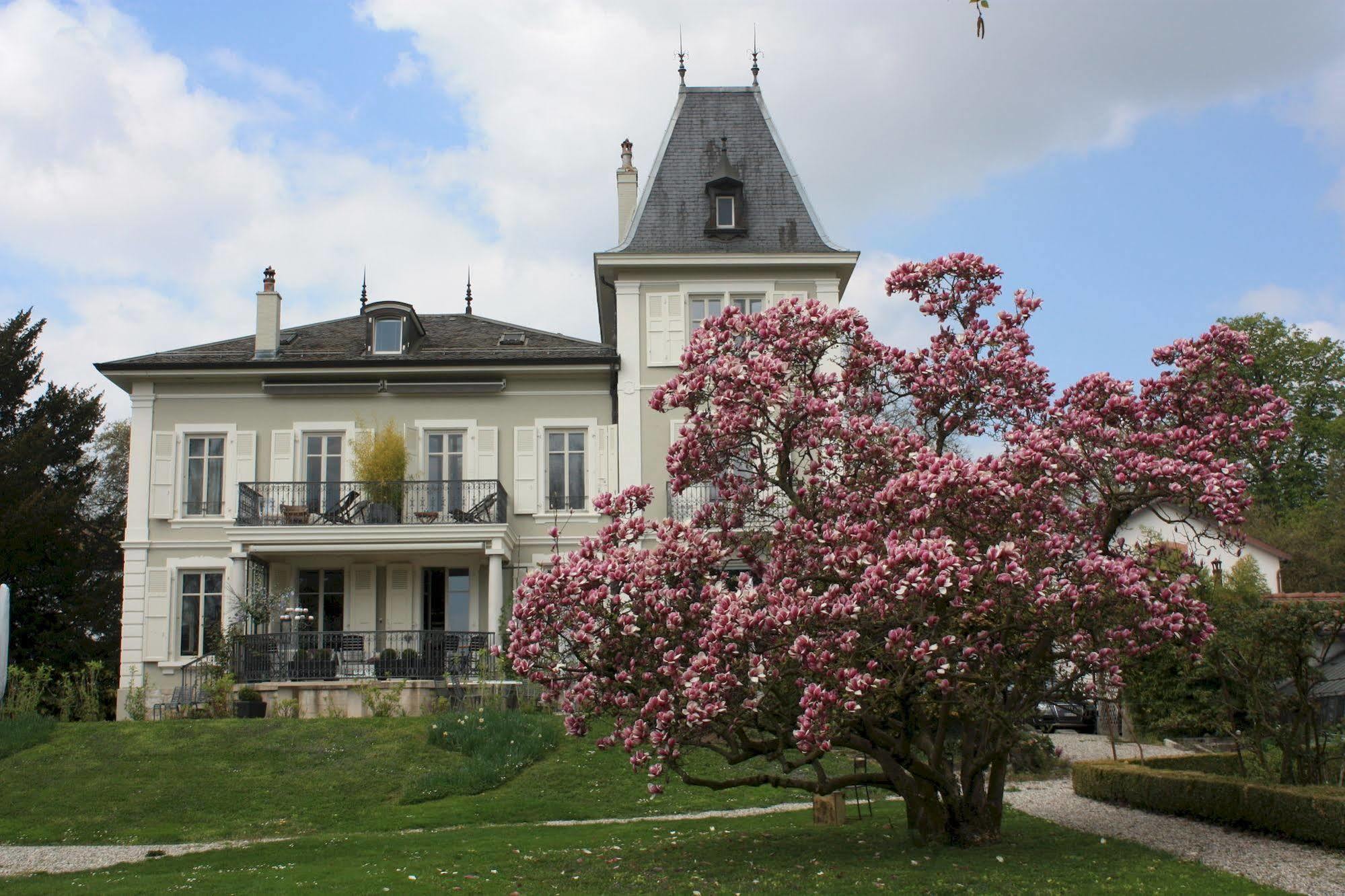 La Maison D'Igor Morges Exterior photo